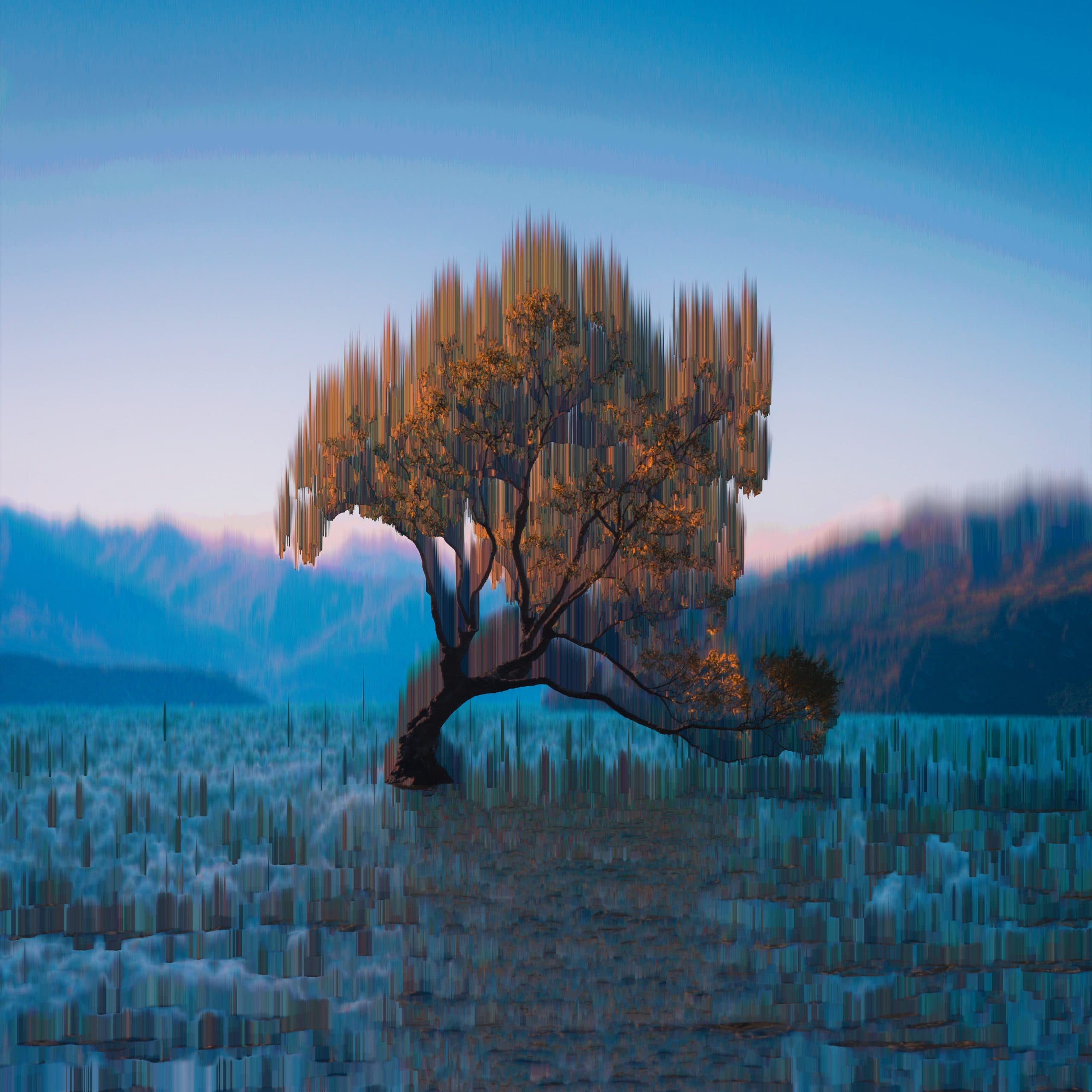 Pixel sorting experiment 2d