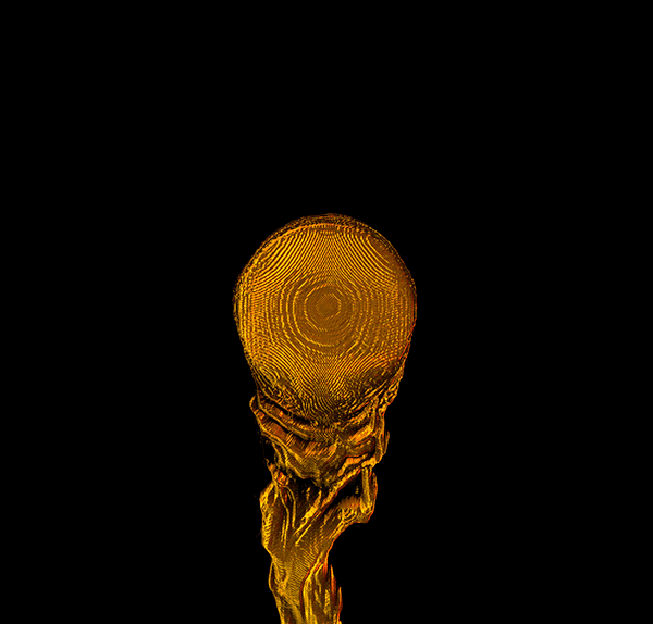 Liquid emitter screen a