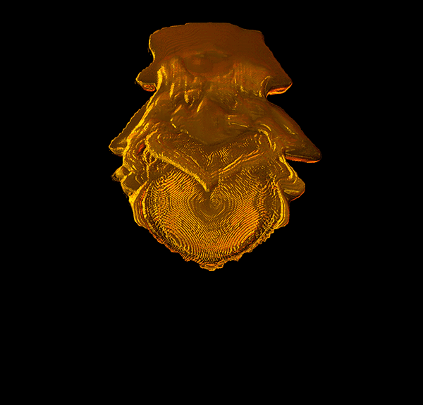Liquid emitter screen b