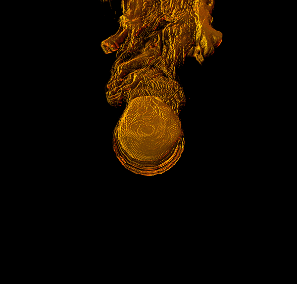 Liquid emitter screen c