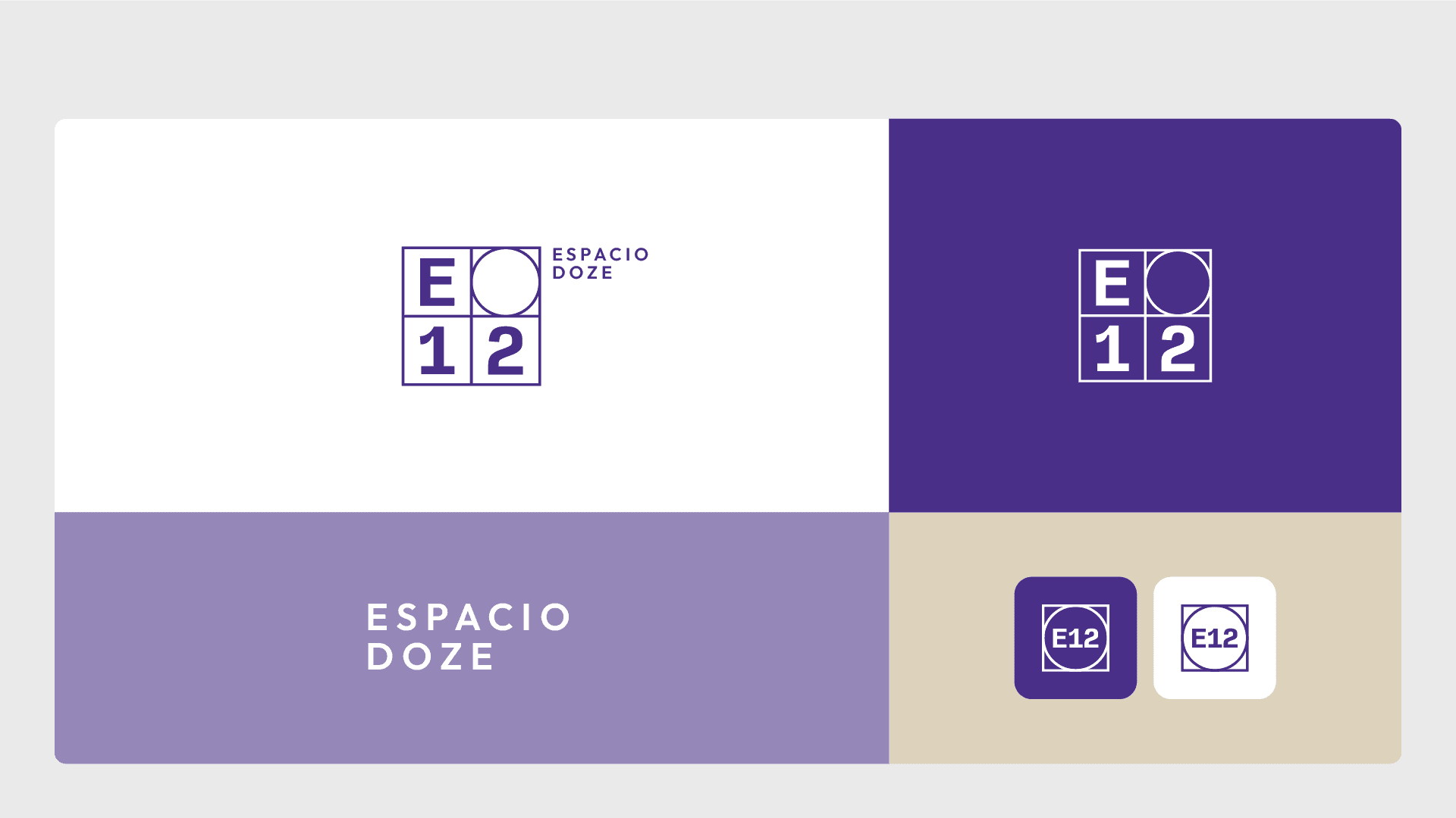E12 slide 19